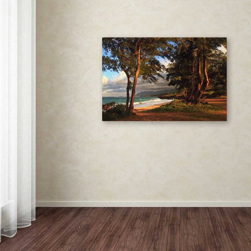 «Joden Hawaii 5» par Jason Shaffer, reproduction de photo sur toile tendue, H 12 po x l 19 po x P 2 po