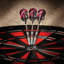Grim Reaper Tungsten Dart Set