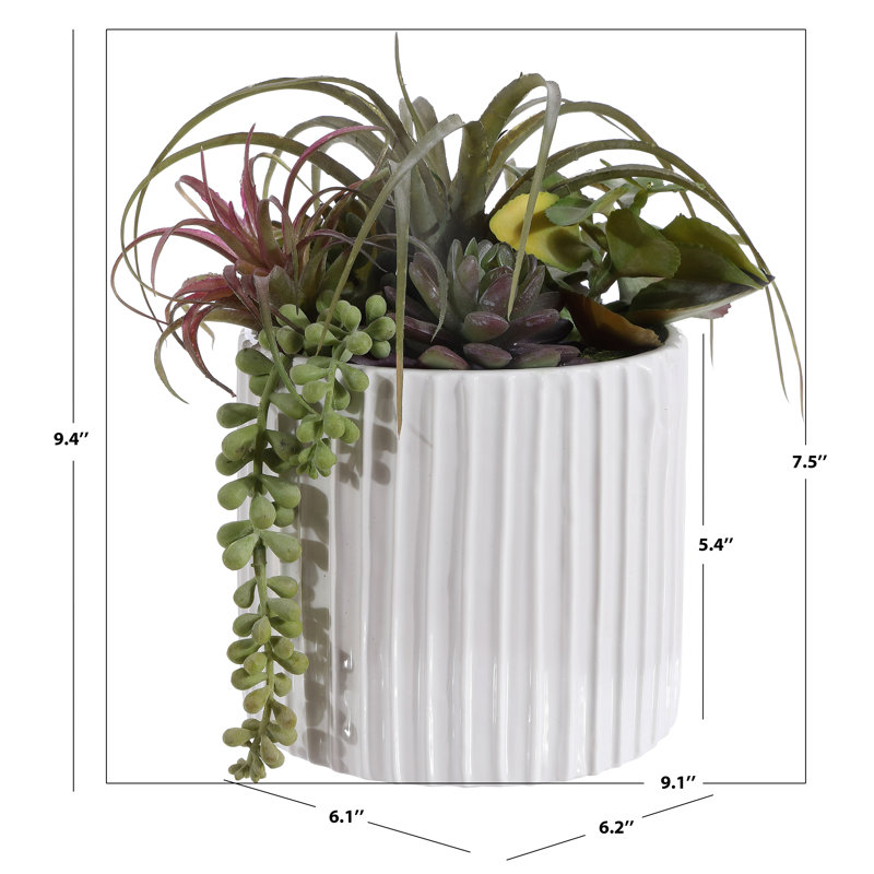 9.45'' Faux Succulent Plant in Freestanding