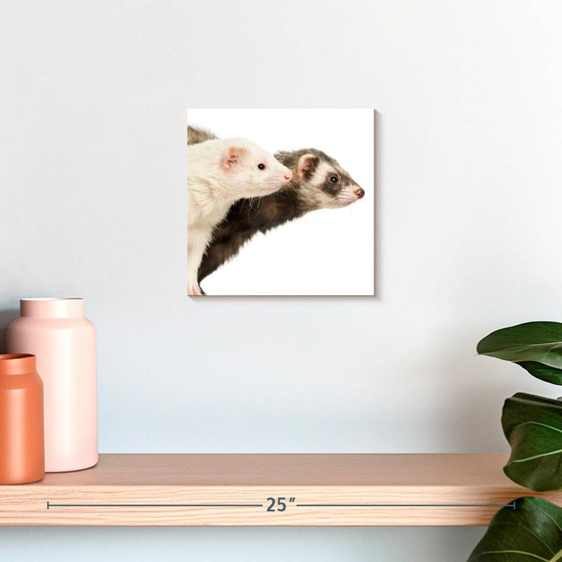 Crowle Two Curious Ferrets, 10" H x 10" W