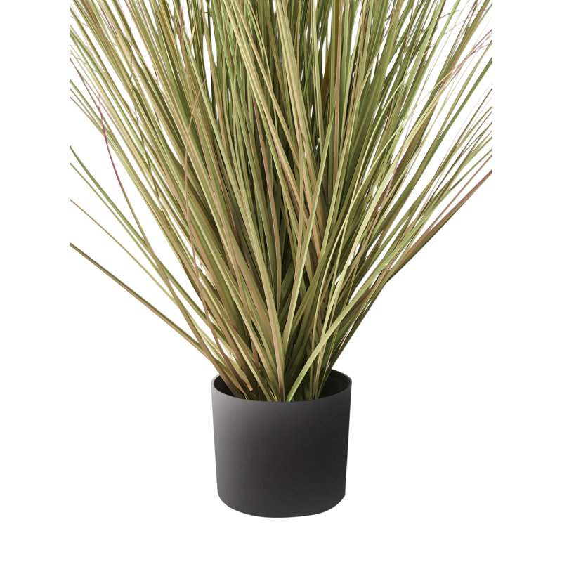 120cm Plant, Pink