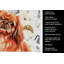 Serviette de cuisine Coffee Bar-1234934624