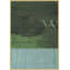 Moss And Sky 1 Print-163349536