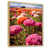 Cadre flottant naturel