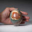 Œuf polychrome poli de Madagascar (0,6 lb)-103622241-103622242