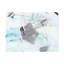 «Ivy Bronx Melissa Wang The First Snow II», art mural sur toile-842203461