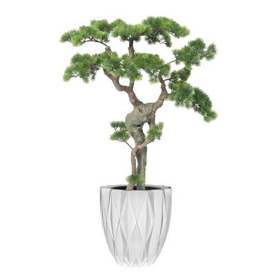 50"H Real-touch beauty Bonsai with Planter