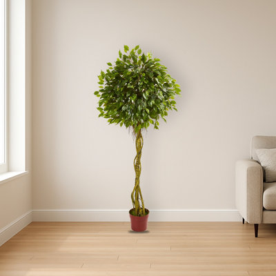 Ficus Tree Topiary Silk Tree