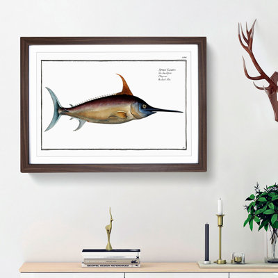 Swordfish - Picture Frame Art Prints