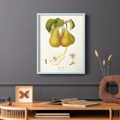 Vintage Pears V Framed Print - Solid Wood