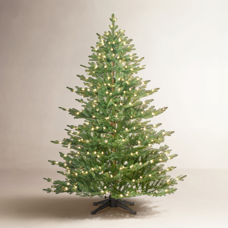 Sapin de Noël cachemire caché Cashmere, 6 pi, Non pré-éclairé