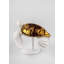 Sea Turtles Couple-1547506819-1547506818