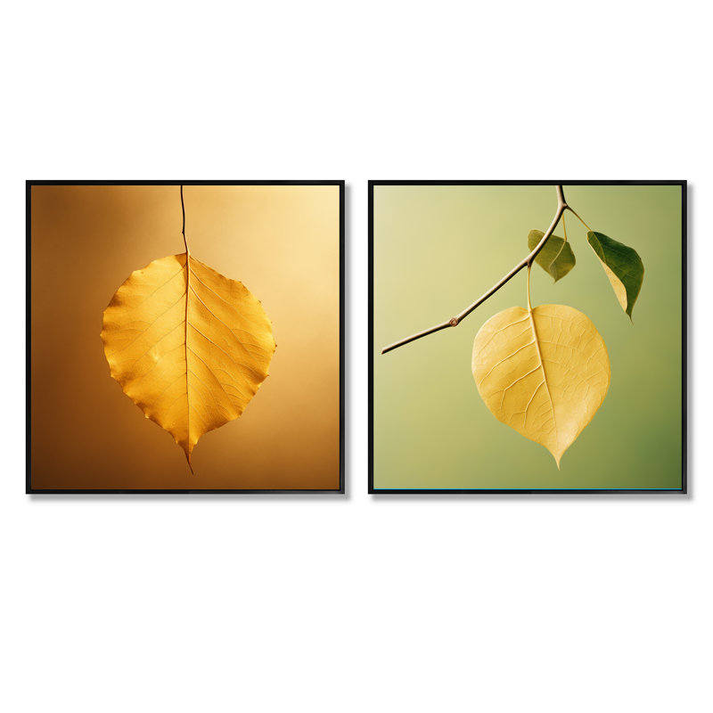 Ensemble de 2 feuilles de collage zen, Cadre flottant noir, H 16 po x l 33 po