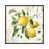 Oak Floater Framed is unavailable
