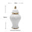 Guifarro 16.5" Handmade White Geometric Ceramic Ginger Jar with Lid