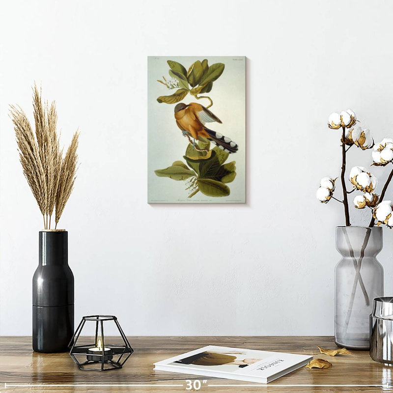 Brampt Mangrove Cuckoo, 12" H x 8" W