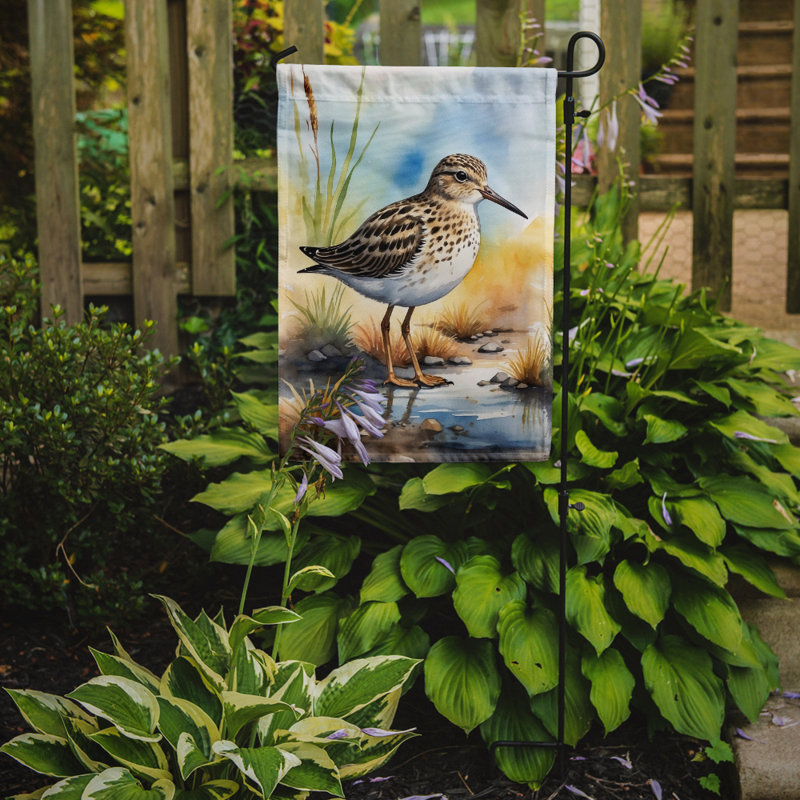 Drapeau de jardin Surfbird Bird, Bécasseau pectorale