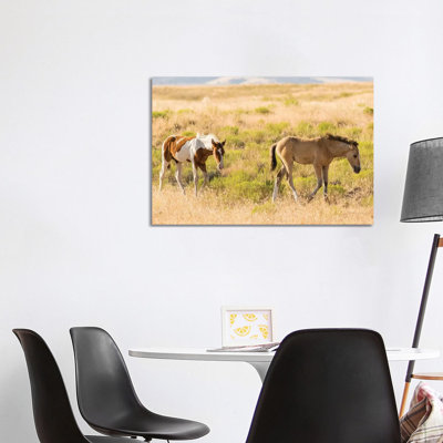 USA, Utah, Tooele County. Wild Horse Foals Walking. by Jaynes Gallery - Wrapped Canvas Gallery-Wrapped Canvas Giclée