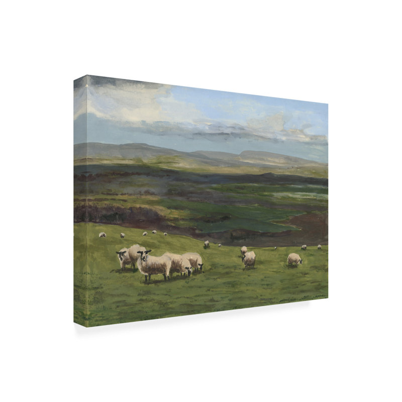 " Highland Sheep I ", 24" H x 24" W