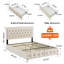 Ensemble de chambre à coucher standard en velours 3 pièces, 1 lit et 2 commodes (ensemble de 3)-1582854702