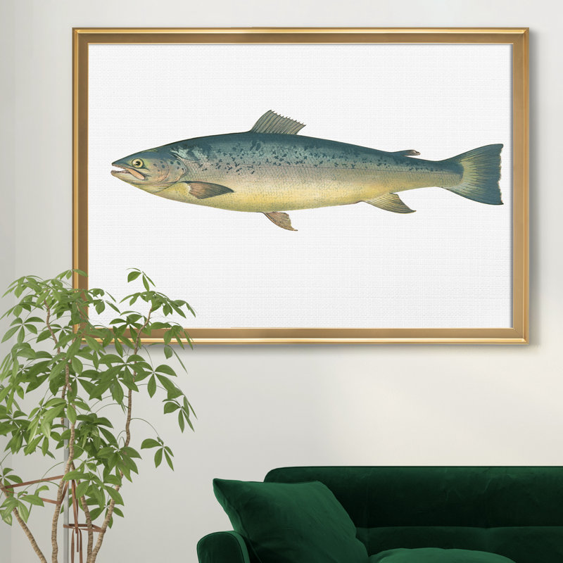 «Small Small Antique Fish V», reproduction d'art graphique sur toile, H 26,5 po x l 36,5 po x P 1,5 po, Doré