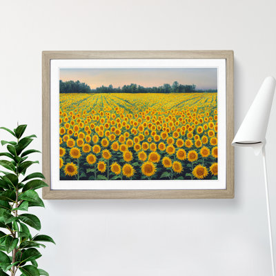 Beguiling Sunflower Field - Single Picture Frame Painting