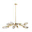 Javier 12 - Light Chandelier