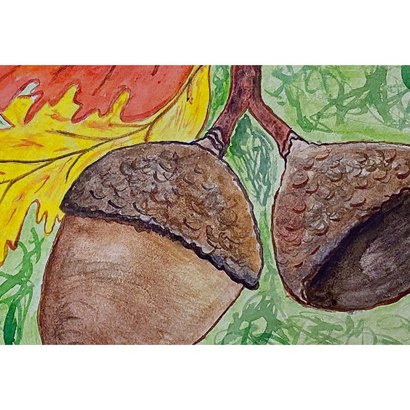 Paillasson intérieur antidérapant 26 po x 18 po Drake Acorns