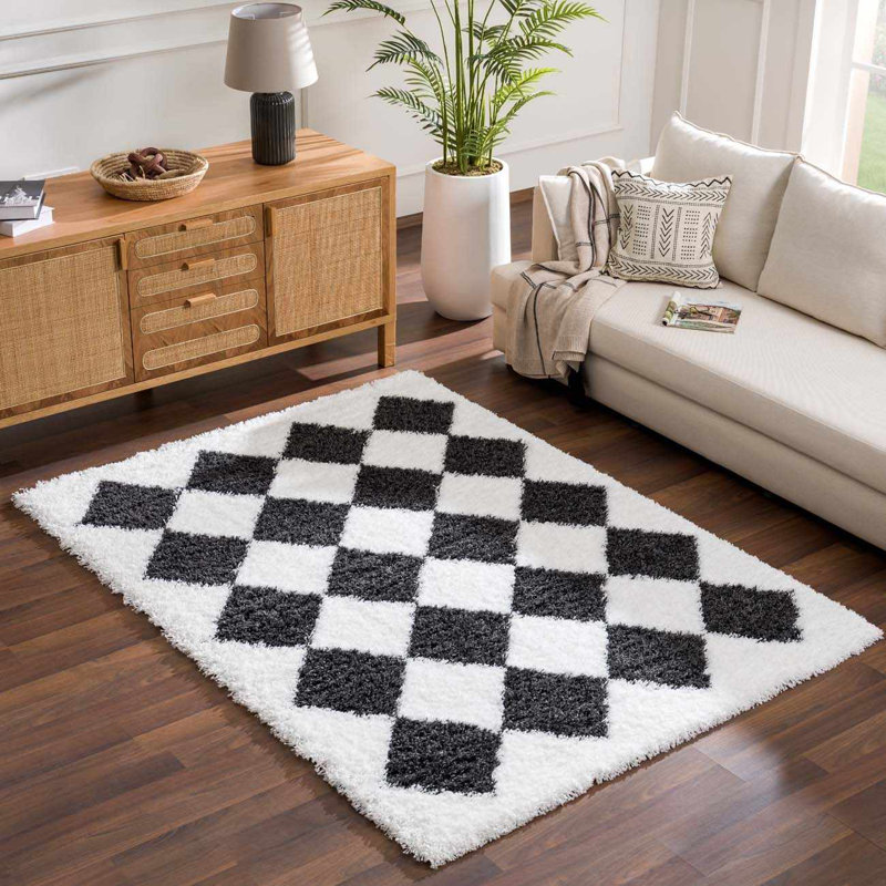 Tapis noir et blanc Axlan, Rectangle 5 pi 3 po x 7 pi 3 po