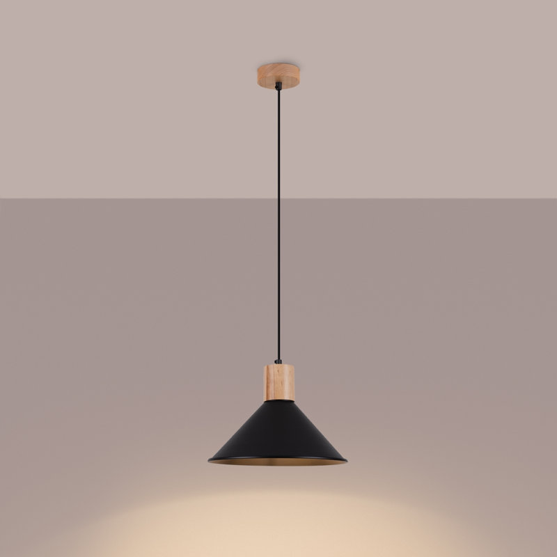 1 - Light Stainless Steel Pendant, Black