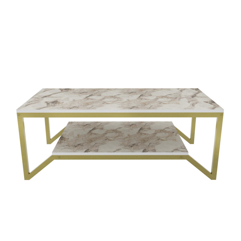 Flora Coffee Table with Storage, White, Gold