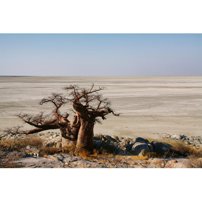 Baobabs On Kubu Island by Estivillml - Wrapped Canvas Print