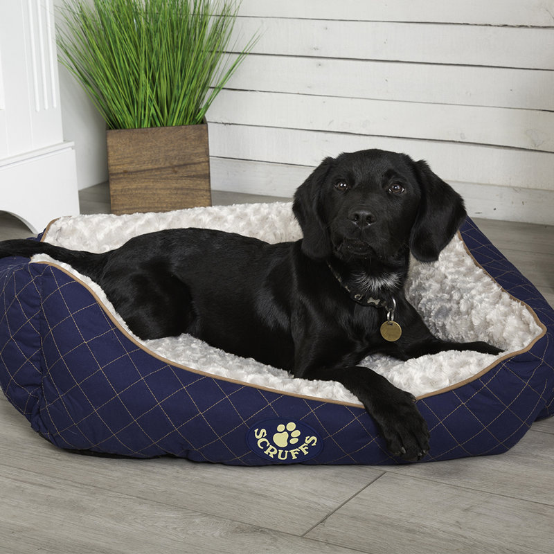 Wilton Polyester Pet Bed, 16cm H x 50cm W x 40cm D, Blue/White