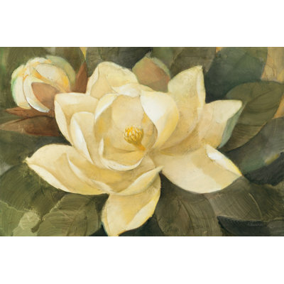Majestic Magnolia by Albena Hristova - Wrapped Canvas Painting