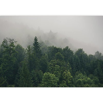 Murale forêt verte
