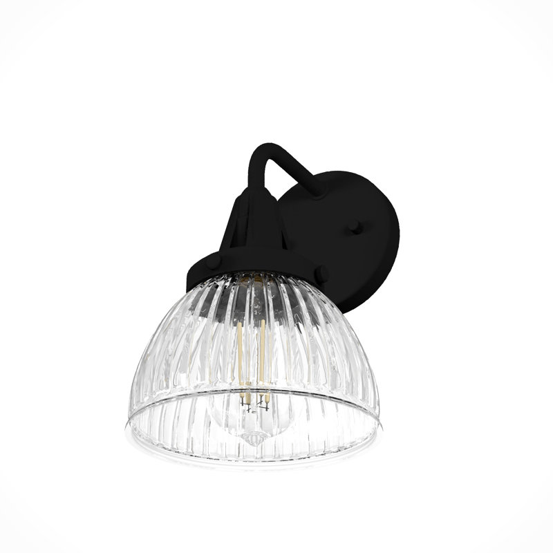 Hunter Cypress Grove 1 Light Sconce Wall Light Fixture, Onyx Bengal