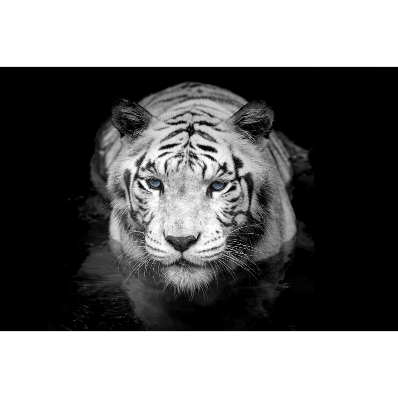 Panneau mural Tiger, H 108 po x l 144 po