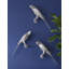Animals Parrot Wall Décor