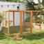 Cat Cage-979228127