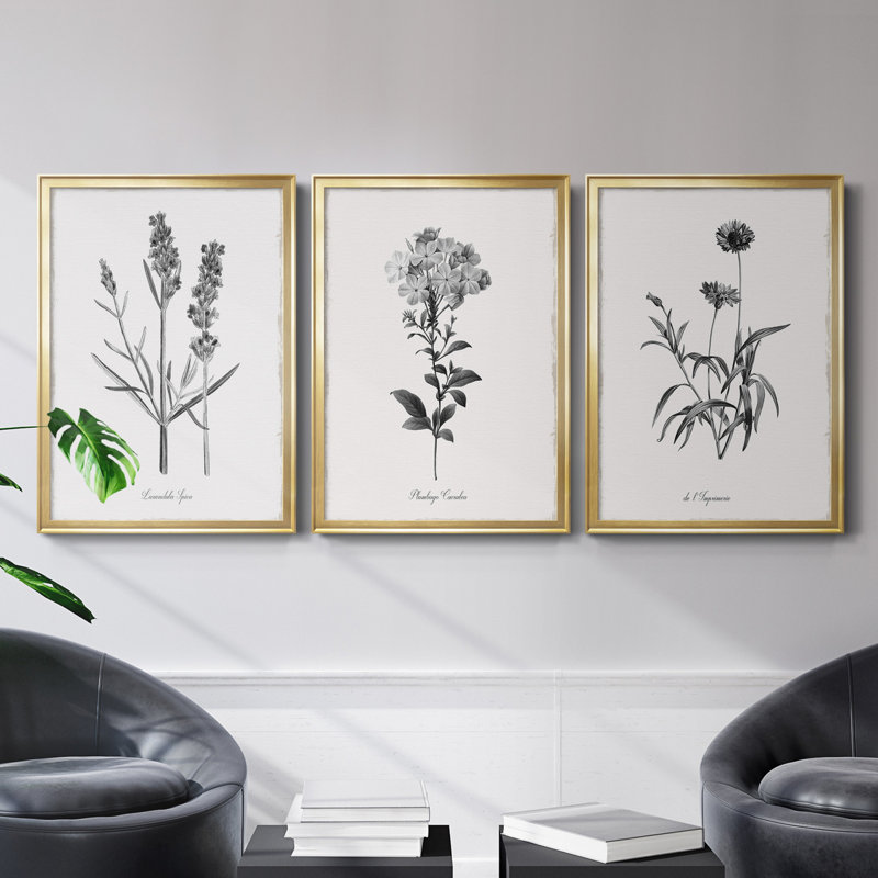 " Simply Imperial " 3 - Pieces, 42.5" H x 30.5" W x 1" D, Gold Framed Canvas