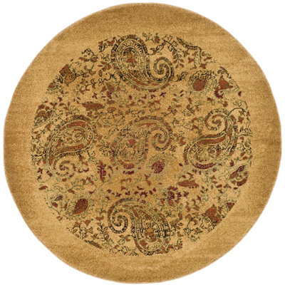 Klose Performance Paisley Rug