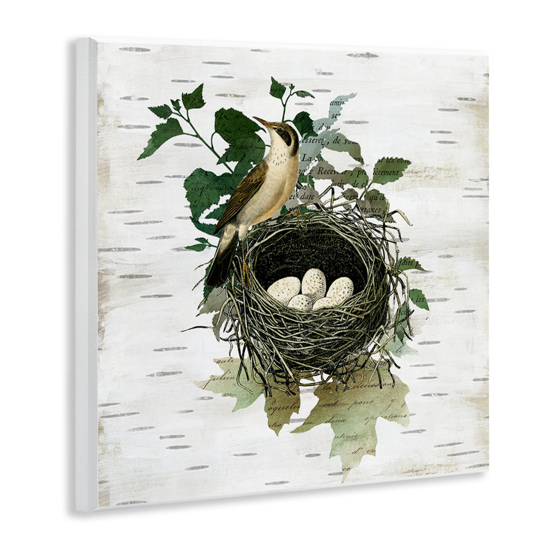 Plaque murale rétro Vintage Nest Bird & Flora, design par Susan Arnot