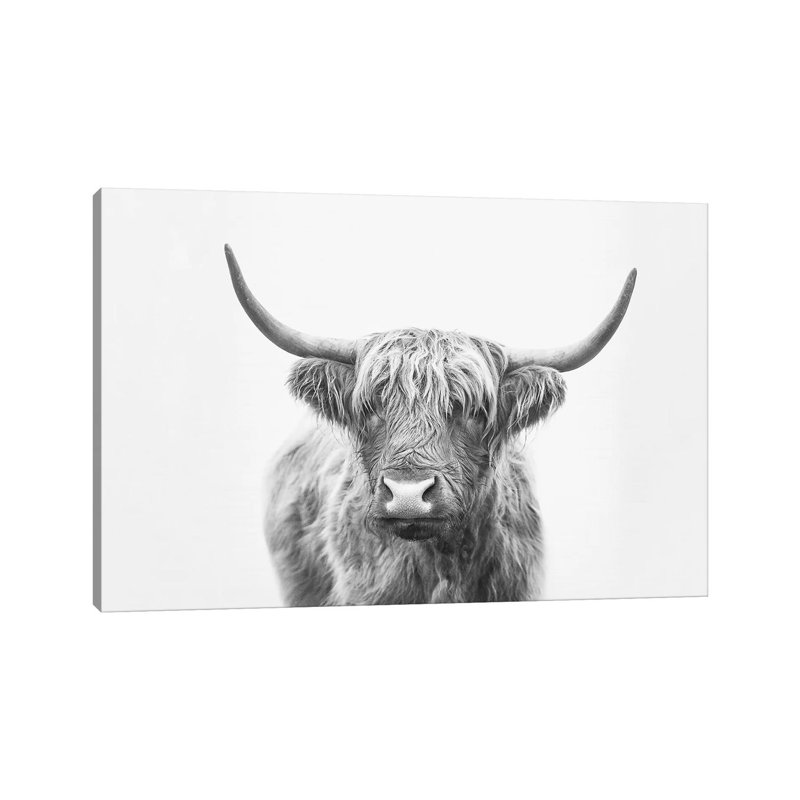 «Highland Bull» par Sissi & Seb - impression d'art graphique, 18" H x 26" W x1.5" D, Pas de tapis, Toile tendue