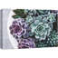 «Purple Green Pearl Echeveria Succulents Zen» sur-99543596