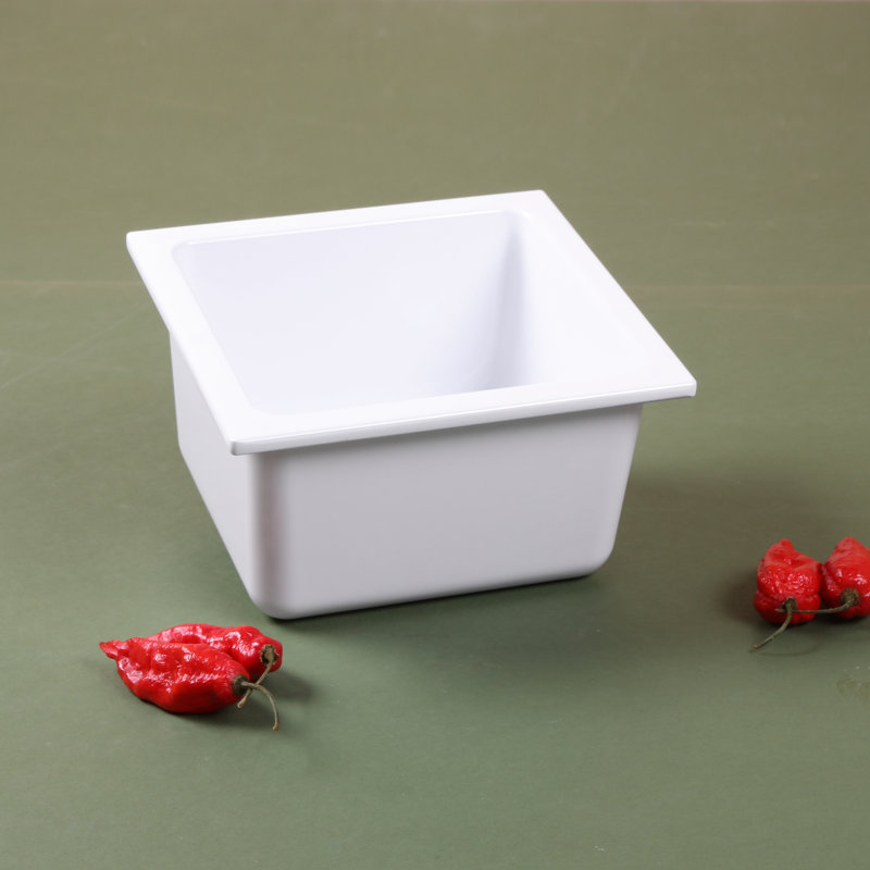American Plastic Pan Insert
