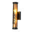 2 - Light Flush Mounted Sconce