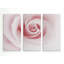 « rose excellence », impression multi-pièces sur toile-758933835