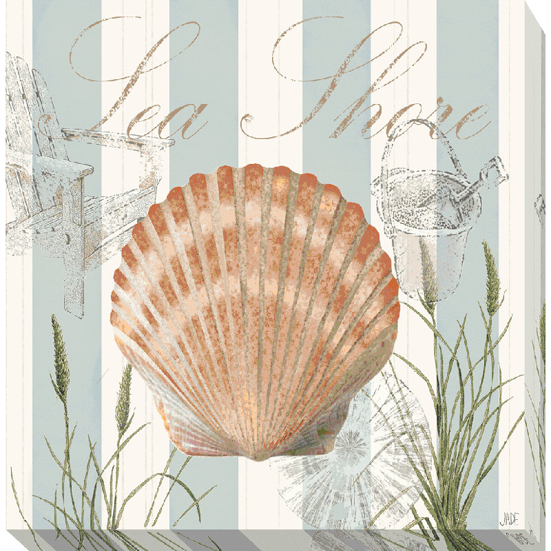 Seashells The Seashore II - Wrapped Canvas Print