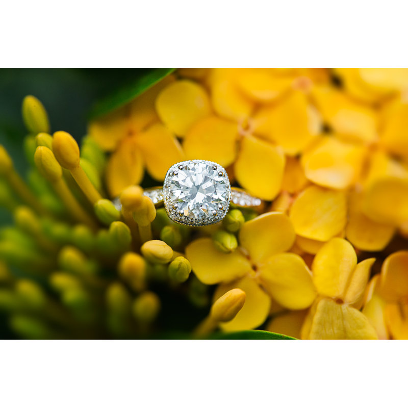 Bague de fiançailles sur fleur jaune par Christopherbernard, H 20 po x l 30 po