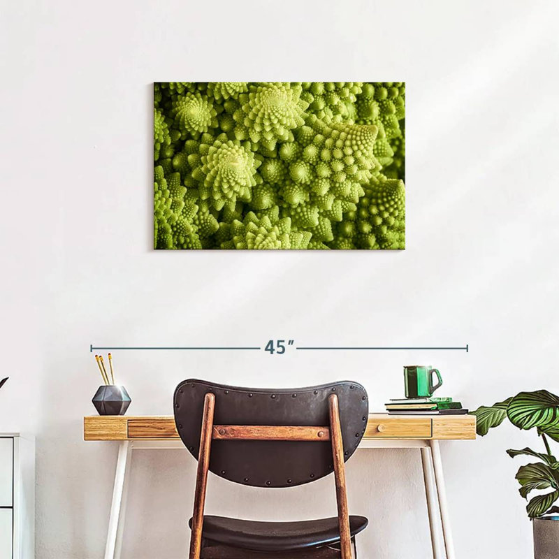 Broccoli Romanesco frais, H 20 po x l 30 po